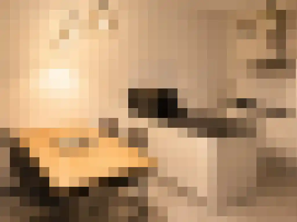 Scheepmakerspassage 157 Rotterdam thumbnail 5