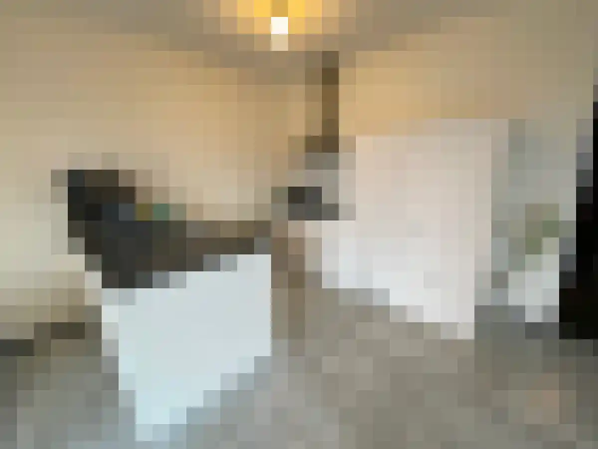 Scheepmakerspassage 157 Rotterdam thumbnail 6