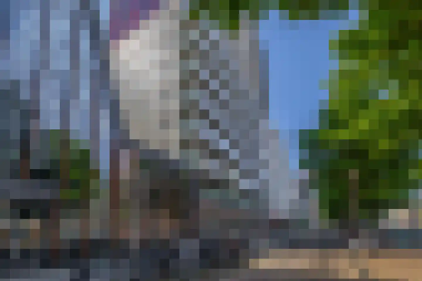 Scheepmakerspassage 24 Rotterdam thumbnail 5
