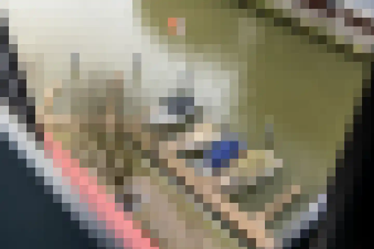 Scheepmakerspassage 41 Rotterdam thumbnail 11