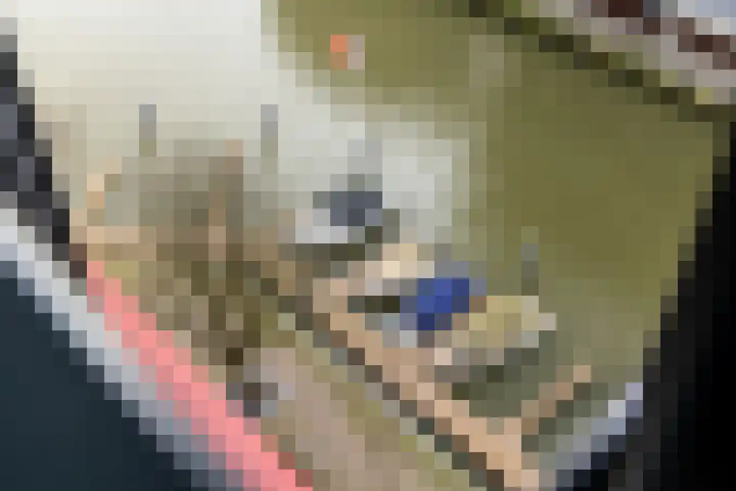Scheepmakerspassage 41 Rotterdam thumbnail 11
