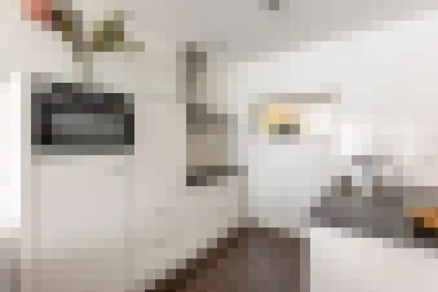 Scheepmakerspassage 41 Rotterdam thumbnail 15