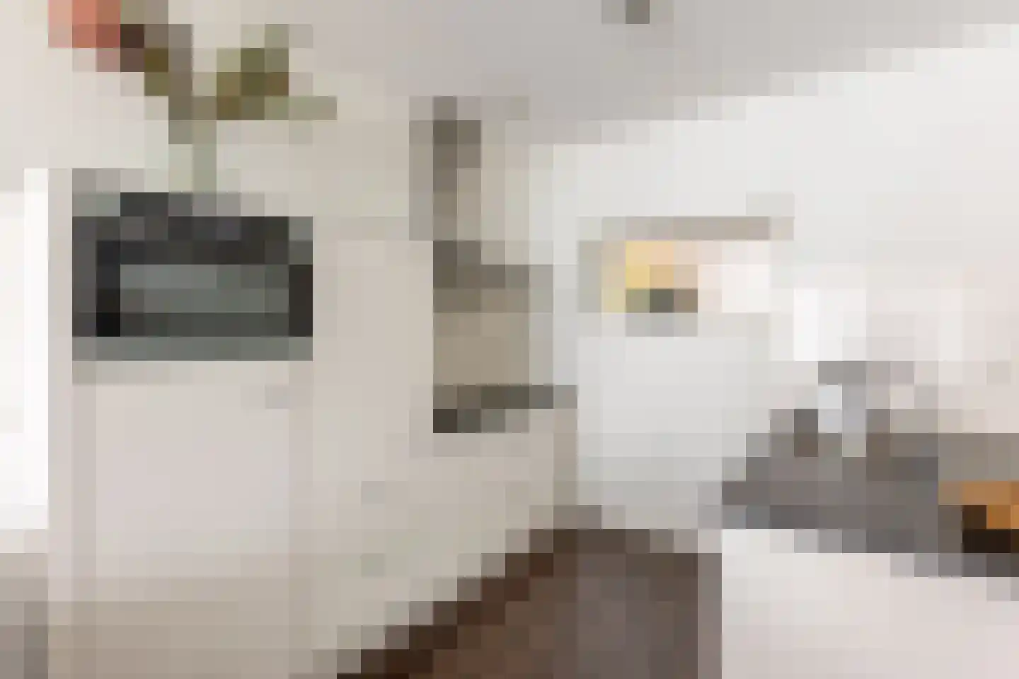 Scheepmakerspassage 41 Rotterdam thumbnail 15