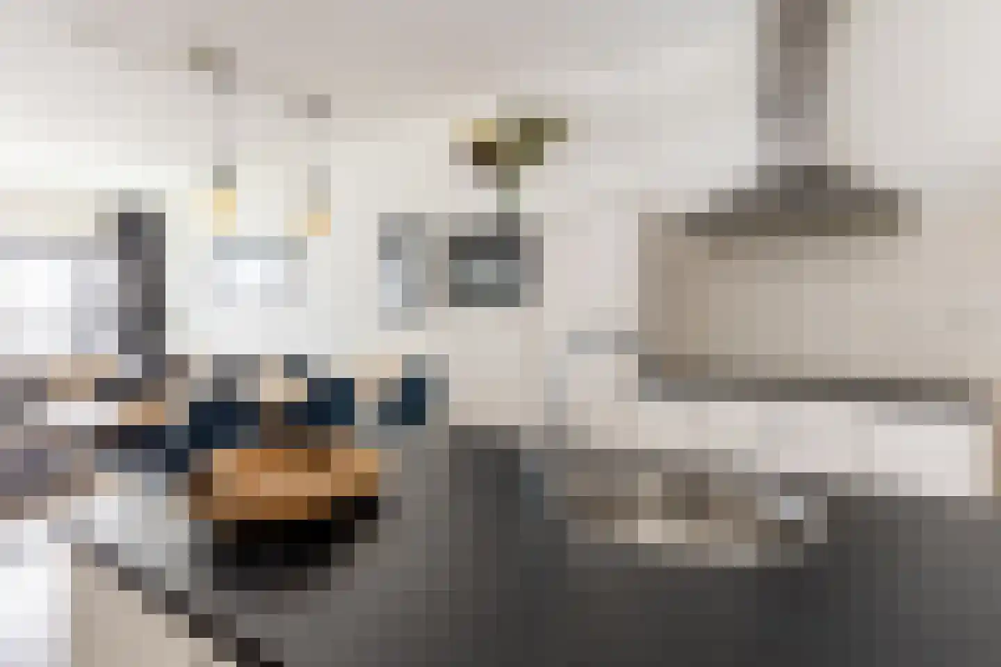 Scheepmakerspassage 41 Rotterdam thumbnail 17