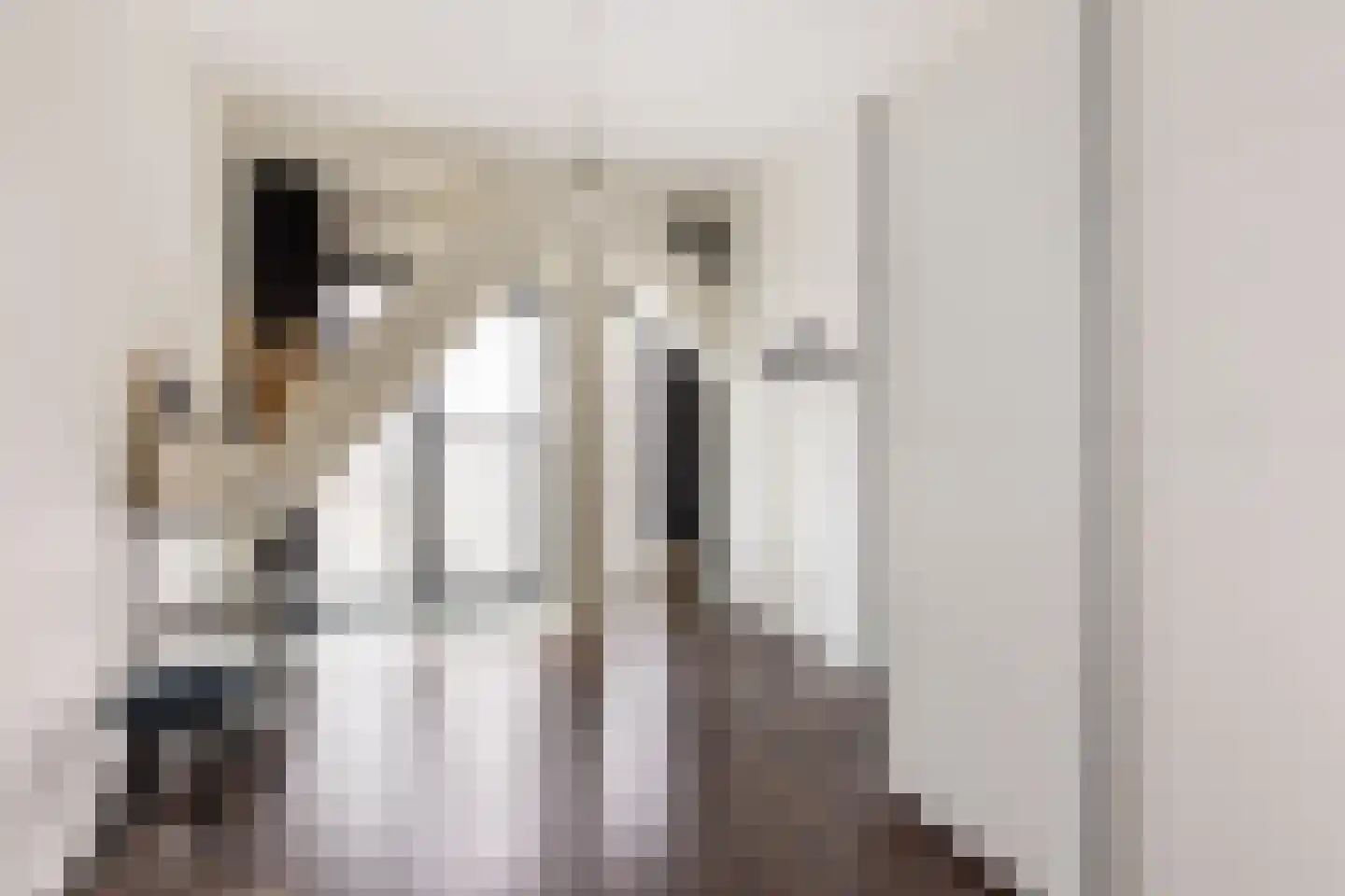 Scheepmakerspassage 41 Rotterdam thumbnail 20