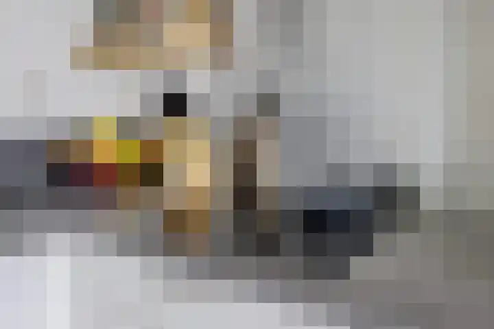 Scheepmakerspassage 42 Rotterdam thumbnail 12