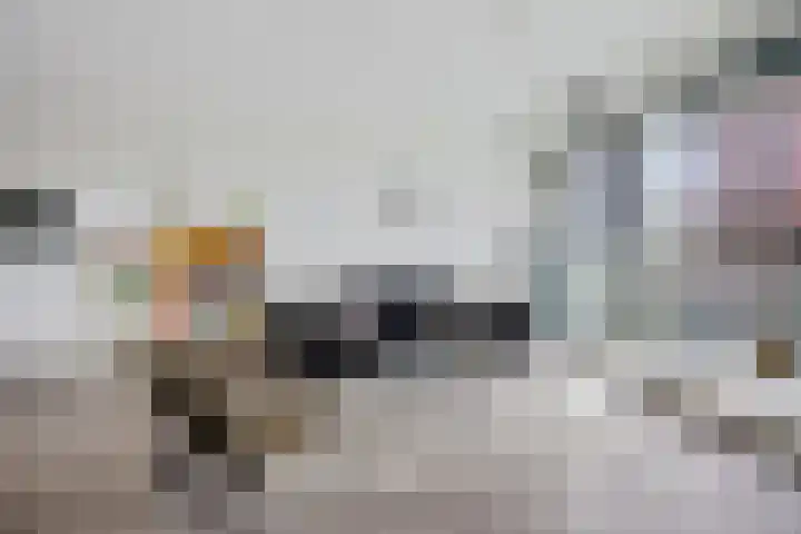 Scheepmakerspassage 42 Rotterdam thumbnail 13
