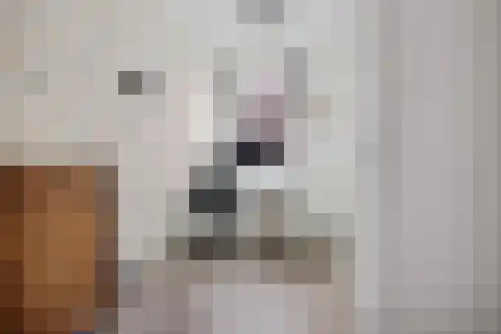 Scheepmakerspassage 42 Rotterdam thumbnail 19