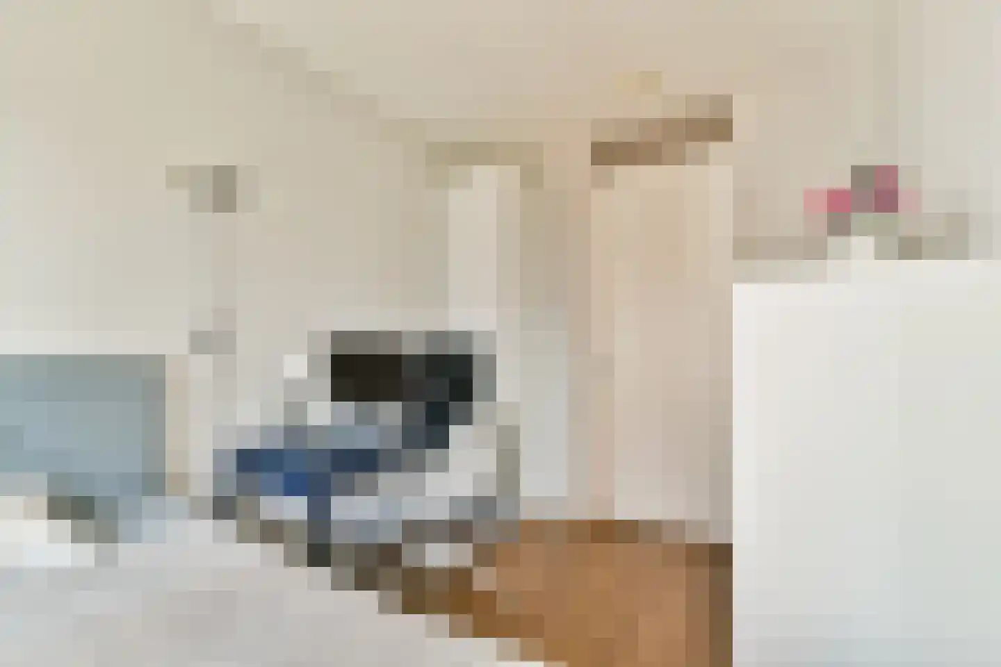 Scheepmakerspassage 99 Rotterdam thumbnail 20