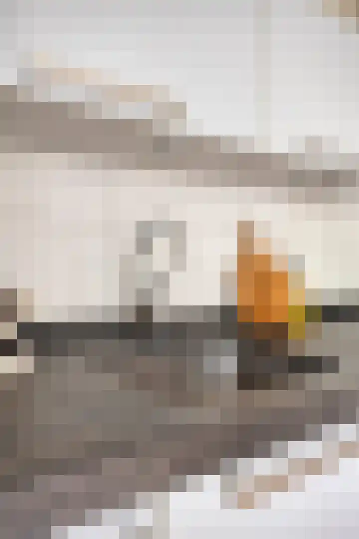 Scheepmakerssteeg 4 Leiden thumbnail 10