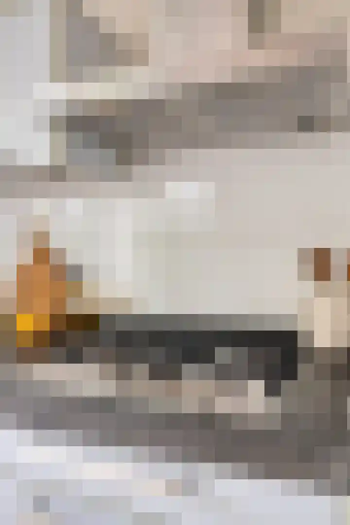 Scheepmakerssteeg 4 Leiden thumbnail 11