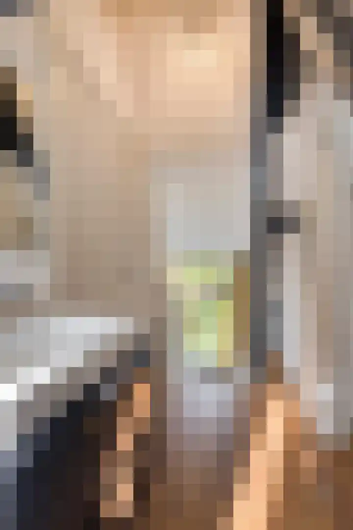 Scheepmakerssteeg 4 Leiden thumbnail 32