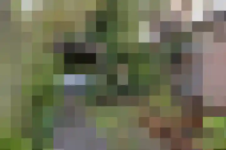 Scheepmakerssteeg 4 Leiden thumbnail 43