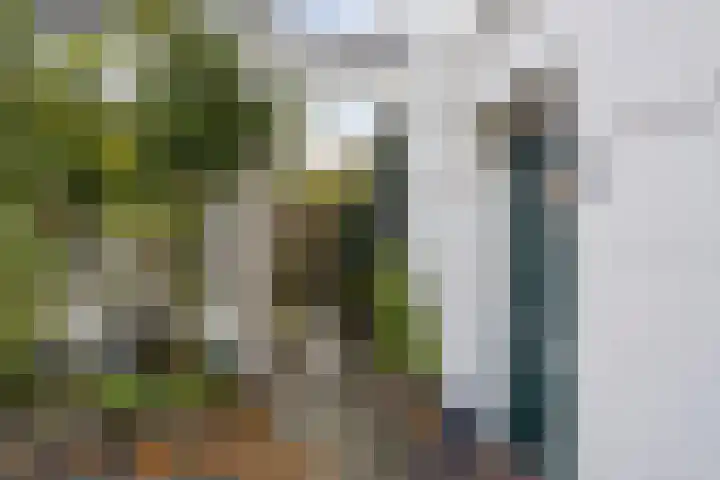 Scheepmakerssteeg 4 Leiden thumbnail 47