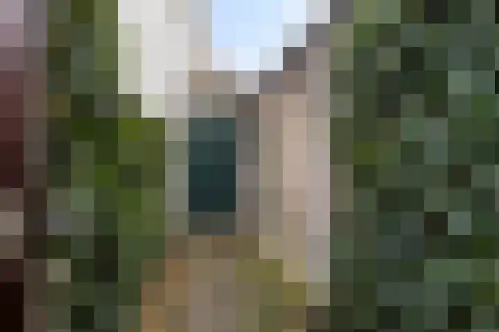 Scheepmakerssteeg 4 Leiden thumbnail 49