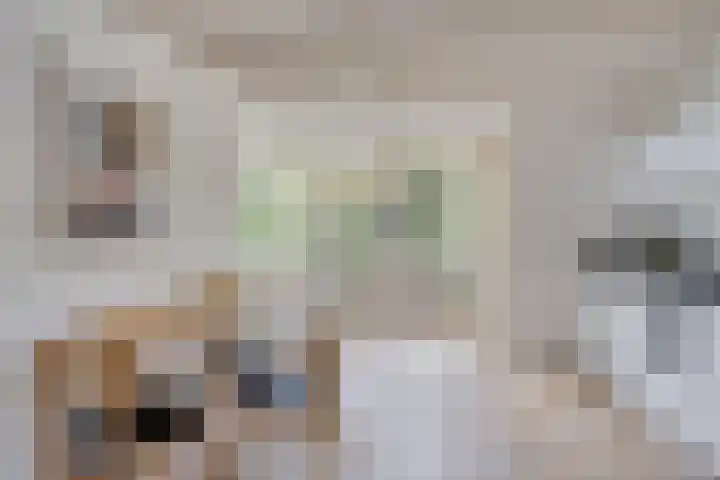 Scheepmakerssteeg 4 Leiden thumbnail 7