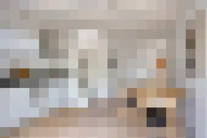Scheepmakerssteeg 4 Leiden thumbnail 8