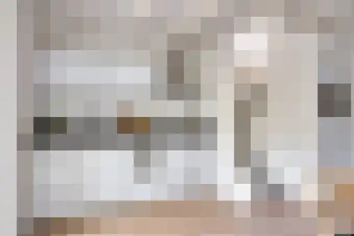 Scheepmakerssteeg 4 Leiden thumbnail 9