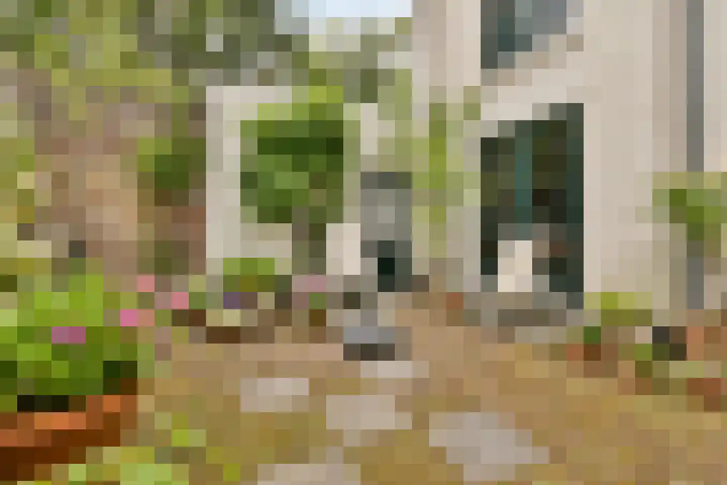 Scheepmakerssteeg 8 Leiden thumbnail 15