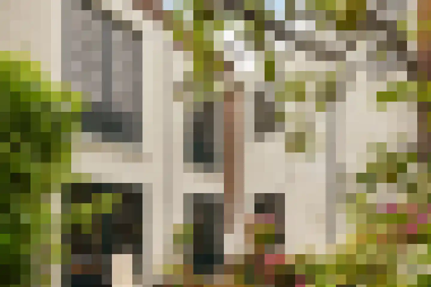 Scheepmakerssteeg 8 Leiden thumbnail 16