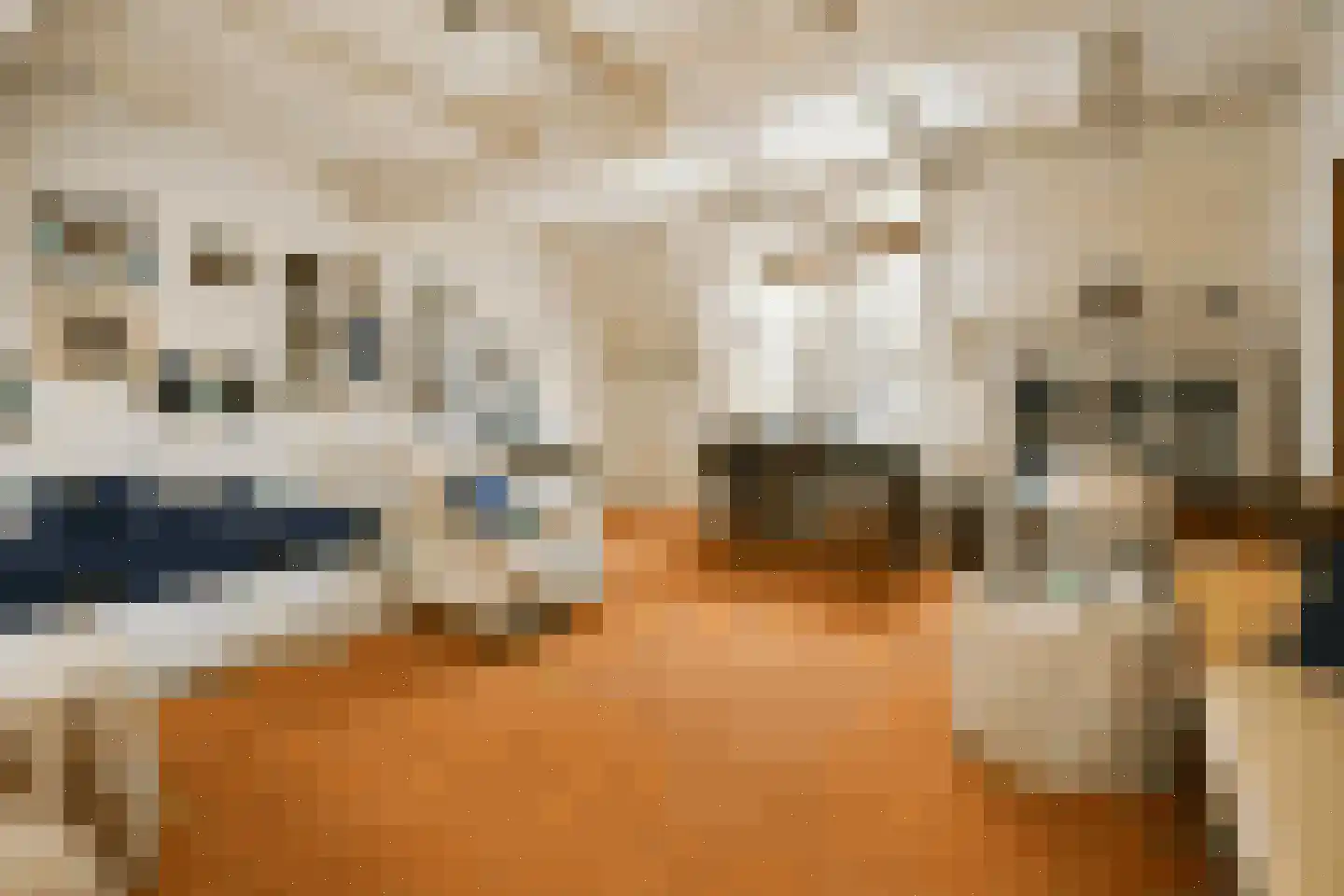 Scheepmakerssteeg 8 Leiden thumbnail 31