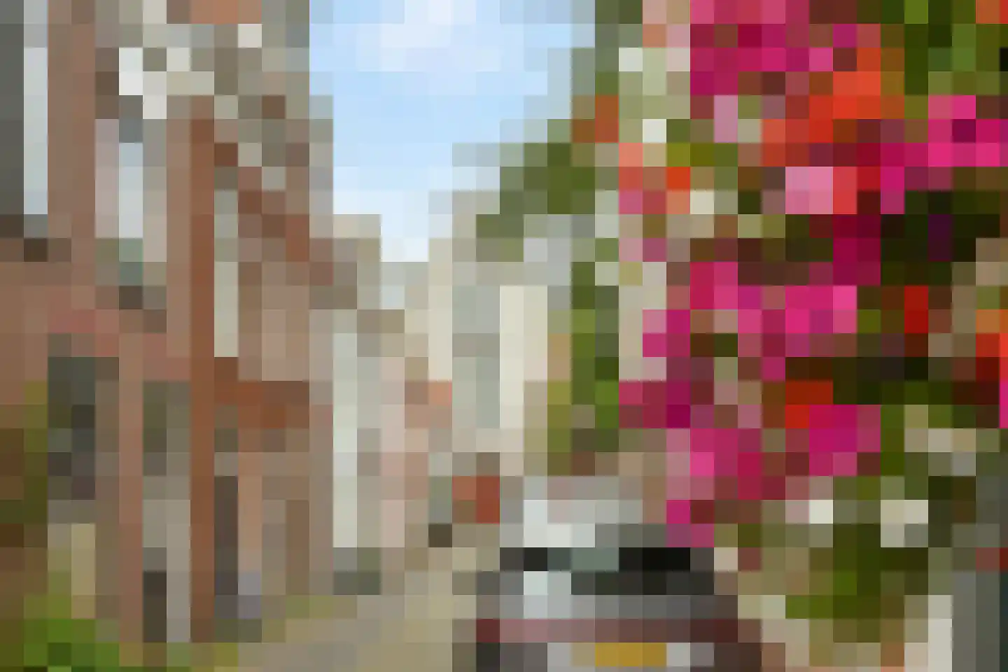 Scheepmakerssteeg 8 Leiden thumbnail 37