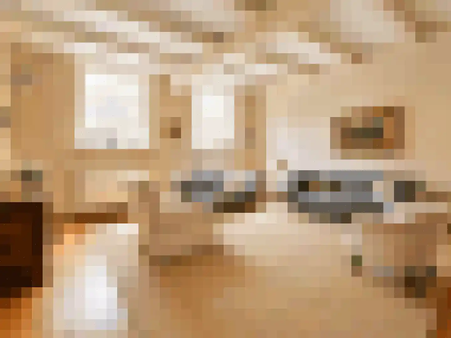 Scheepmakerssteeg 8 Leiden thumbnail 9