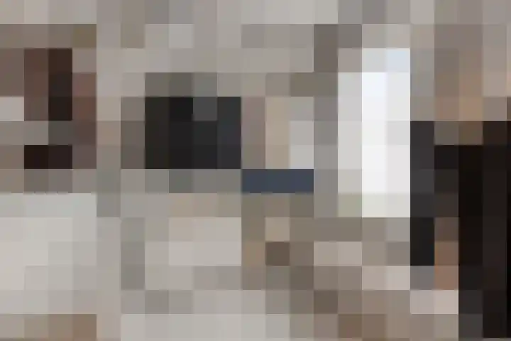 Scheepmakersstraat 16 Krimpen aan de Lek thumbnail 21
