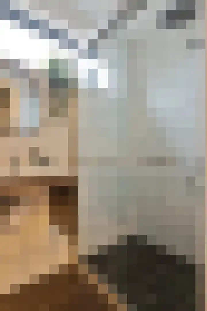 Scheepmakersstraat 16 Krimpen aan de Lek thumbnail 23