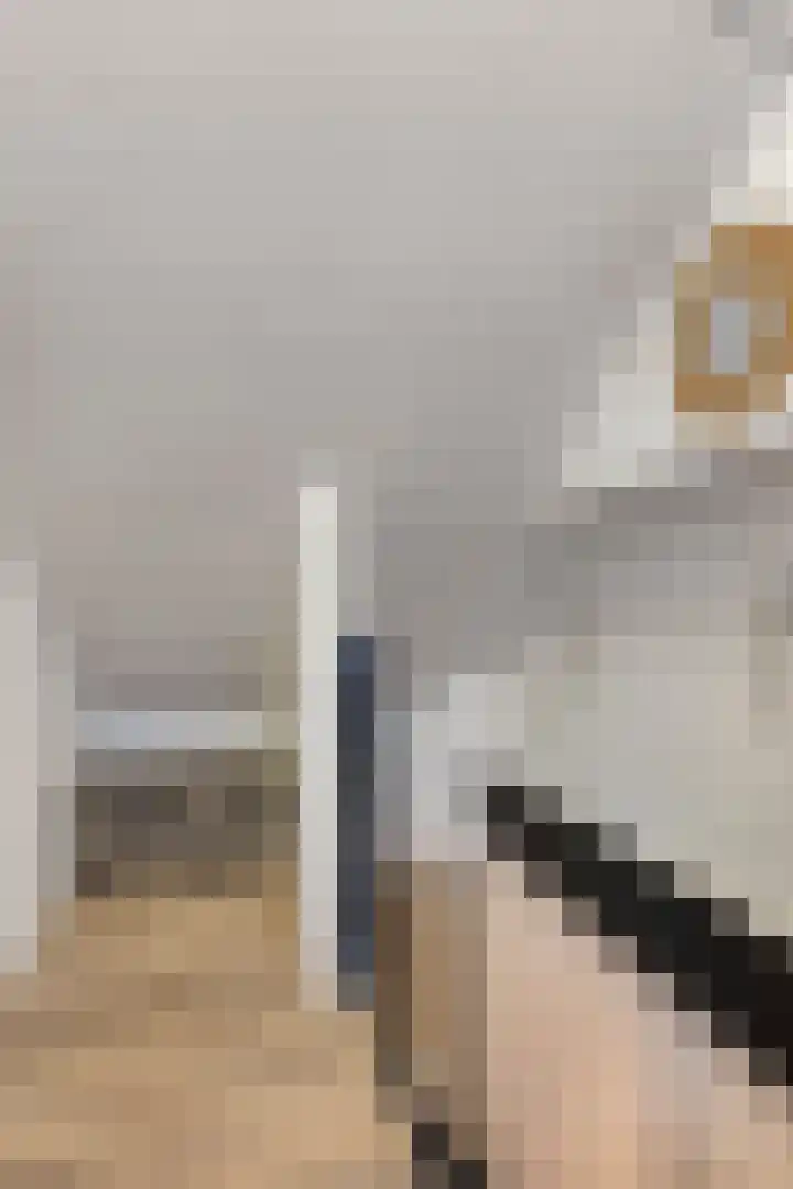 Scheepmakersstraat 16 Krimpen aan de Lek thumbnail 25