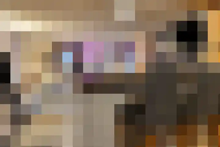 Scheepmakersstraat 16 Krimpen aan de Lek thumbnail 32