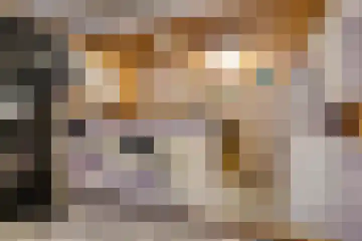 Scheepmakersstraat 16 Krimpen aan de Lek thumbnail 33