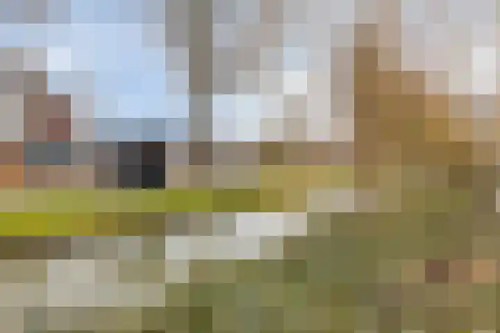 Scheepmakersstraat 16 Krimpen aan de Lek thumbnail 37