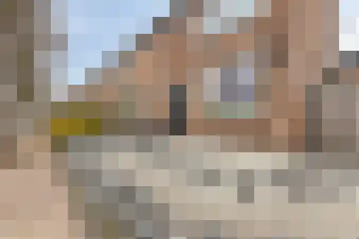 Scheepmakersstraat 16 Krimpen aan de Lek thumbnail 5