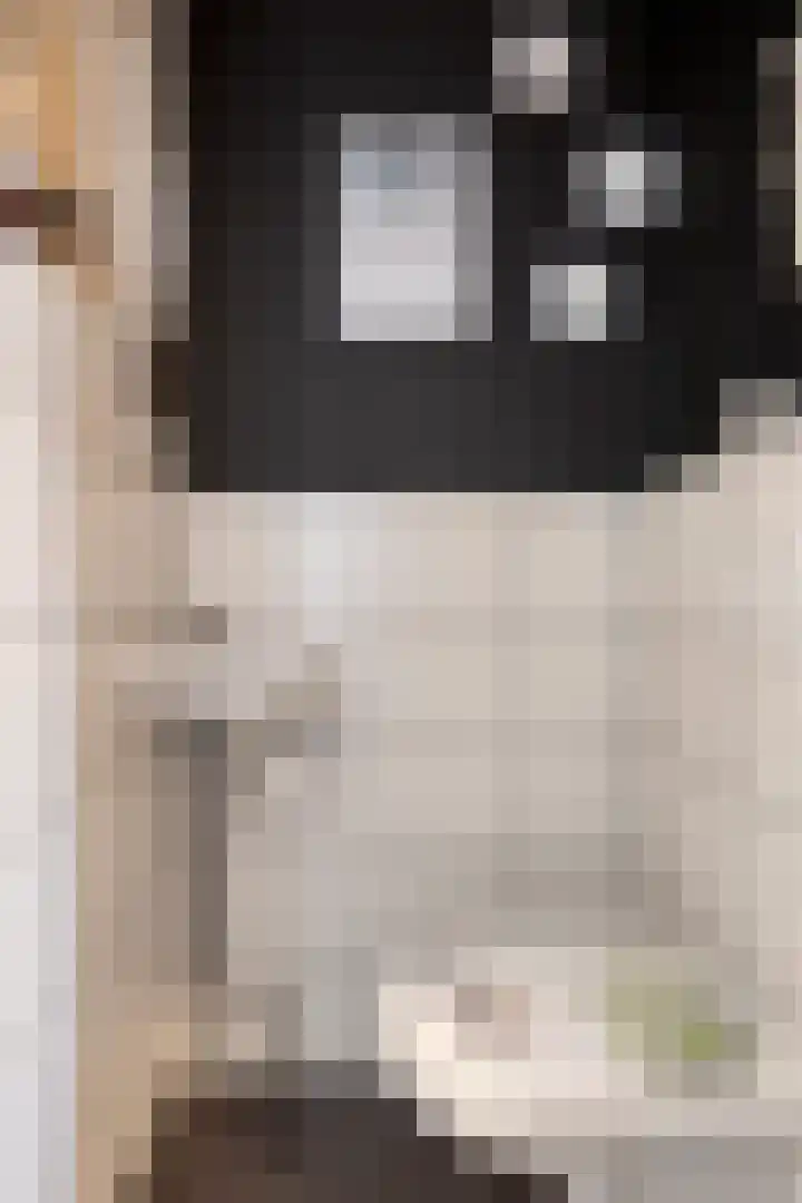 Scheepmakersstraat 16 Krimpen aan de Lek thumbnail 6