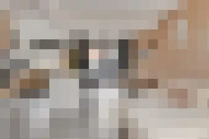 Scheepmakersstraat 16 Krimpen aan de Lek thumbnail 8