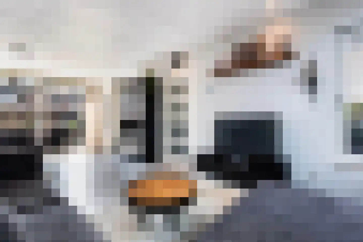 Scheepmakersstraat 26 Hendrik-Ido-Ambacht thumbnail 12