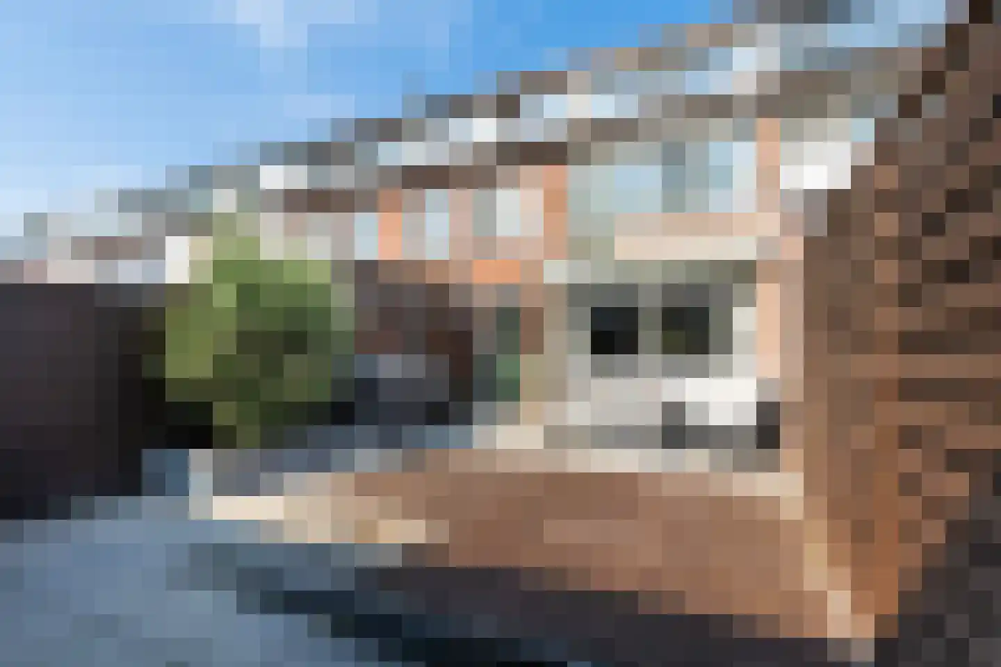 Scheepmakersstraat 26 Hendrik-Ido-Ambacht thumbnail 28