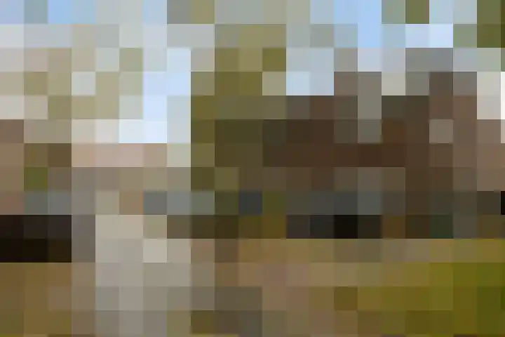 Scheepmakersstraat 44 a Krimpen aan de Lek thumbnail 12