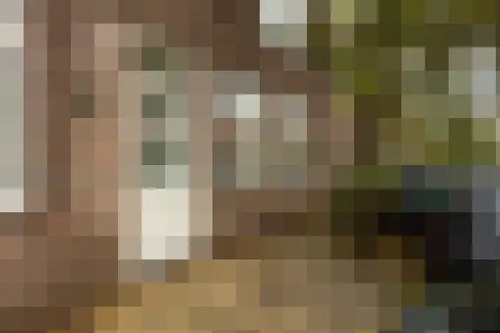 Scheepmakersstraat 44 a Krimpen aan de Lek thumbnail 14