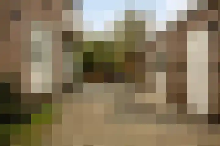 Scheepmakersstraat 44 a Krimpen aan de Lek thumbnail 17