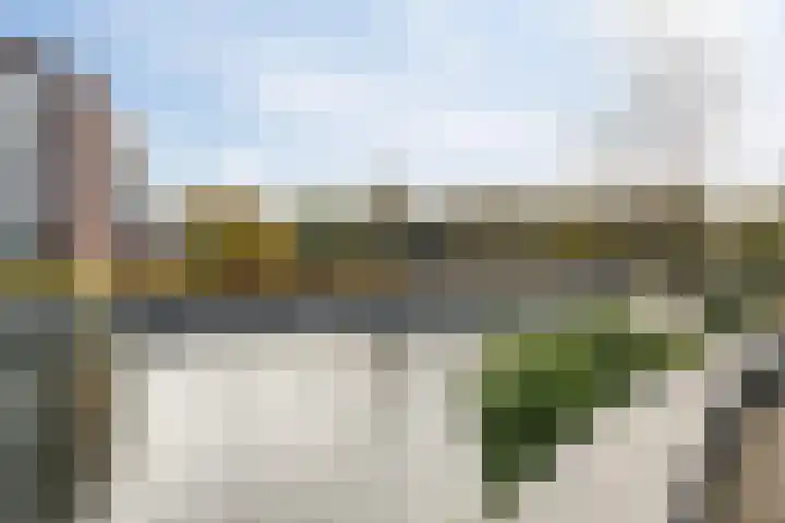 Scheepmakersteeg 9 Vlaardingen thumbnail 16