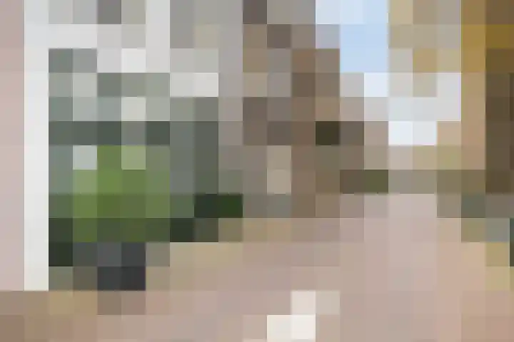 Scheepmakersteeg 9 Vlaardingen thumbnail 18