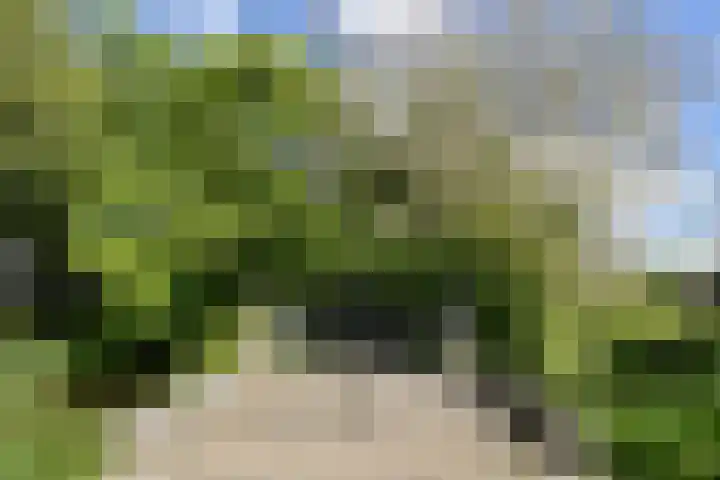 Scheepsbouwersweg 13 Landsmeer thumbnail 10