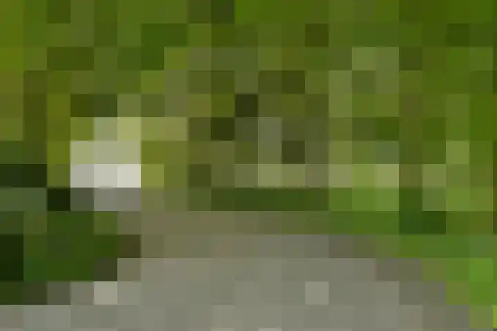 Scheepsbouwersweg 13 Landsmeer thumbnail 11