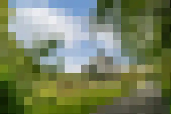 Scheepsbouwersweg 13 Landsmeer thumbnail 12