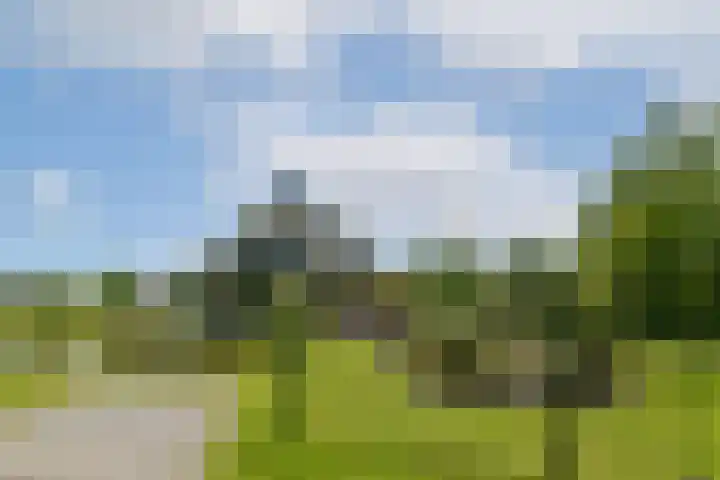 Scheepsbouwersweg 13 Landsmeer thumbnail 13