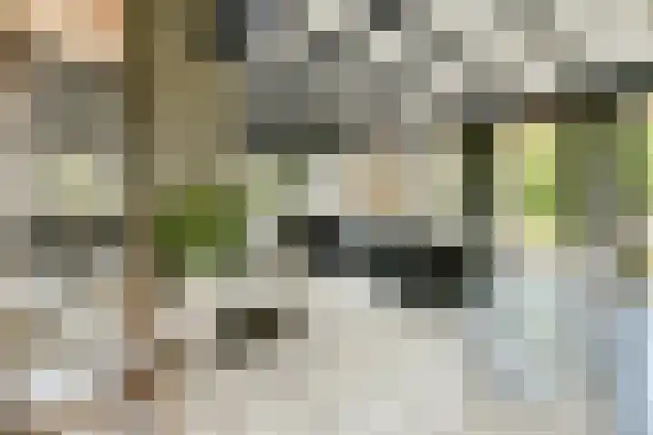 Scheepsbouwersweg 13 Landsmeer thumbnail 17