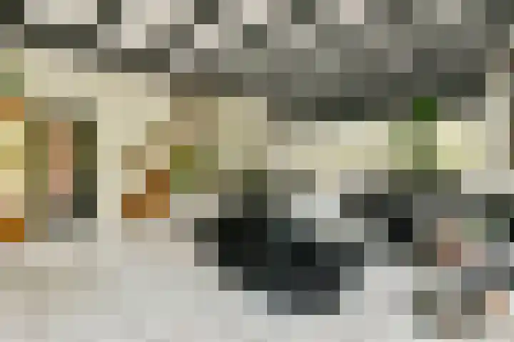 Scheepsbouwersweg 13 Landsmeer thumbnail 18