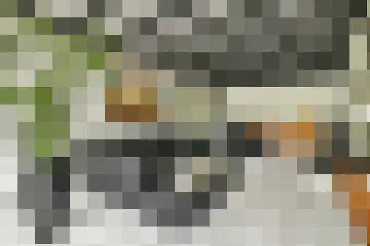 Scheepsbouwersweg 13 Landsmeer thumbnail 19